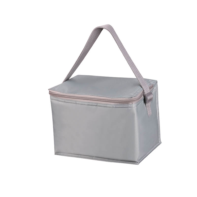 lightweight cooler bag